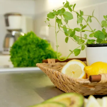 Ahlbecker Hoehe App Leuchtturm