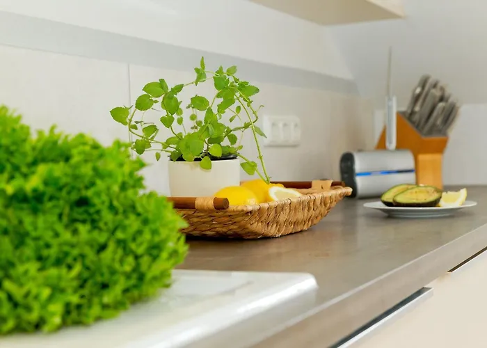 Appartement Ahlbecker Hoehe App Leuchtturm Heringsdorf (Usedom)