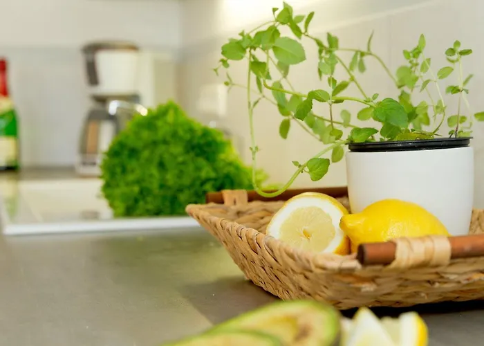 Ahlbecker Hoehe App Leuchtturm